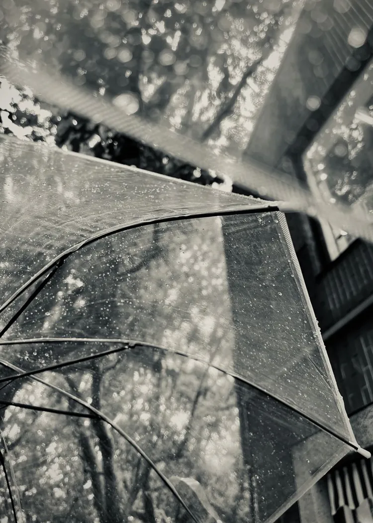 Black and white close-up of a clear umbrella dotted with rain